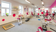 Expreska fitness Ústí nad Labem - posilovna pro ženy